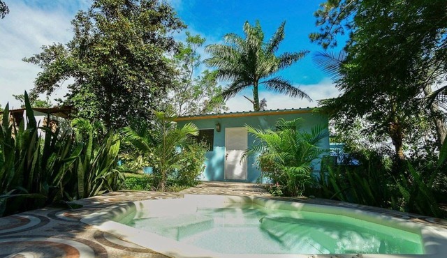 House under palm trees (pool and whirlpool included)
