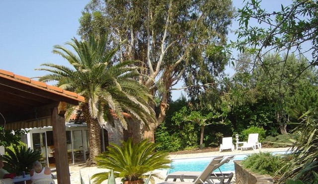House / Villa - Saint jean pla de corts