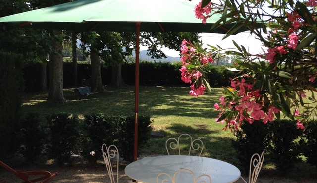 House - Vaucluse - Provence - Castle with wooded park