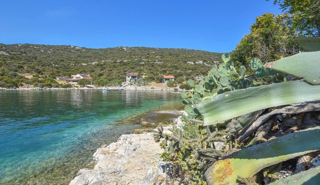 House Vesela (14851-K1) - Tkon - island Pasman