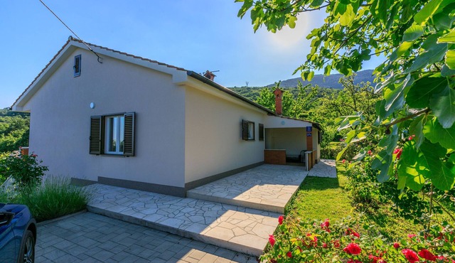 House Vicky (81391-K1) - Sv.Jelena