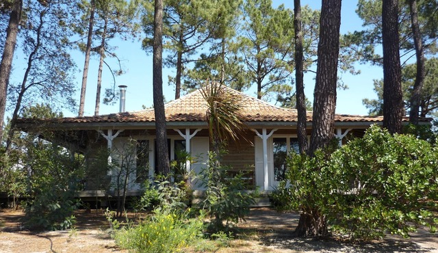 House/Villa - Cap-Ferret