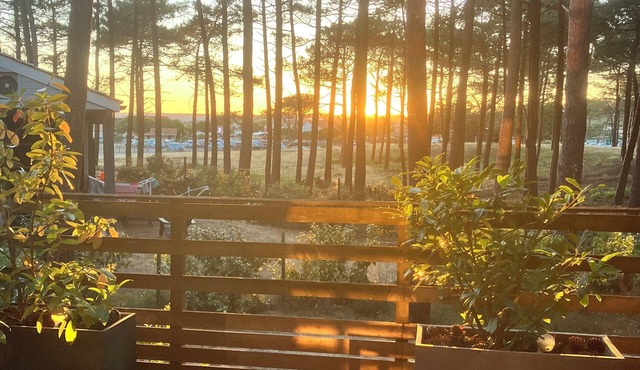 House/Villa - CARCANS PLAGE