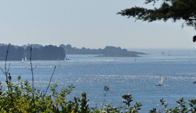 House/Villa - ILE AUX MOINES