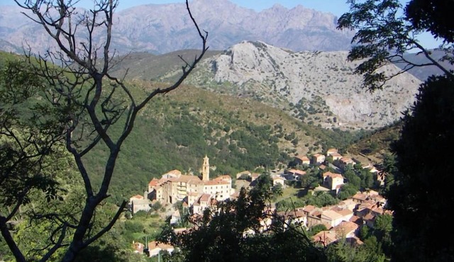 House/Villa - Omessa