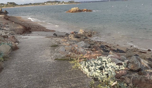 house/villa - PLEUBIAN