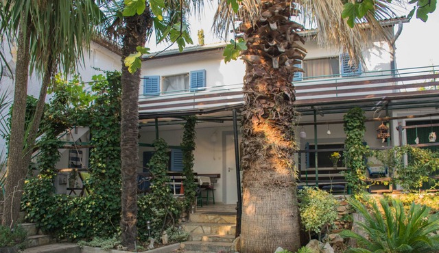 House Villa Regina island Cres, only 70m from the sea