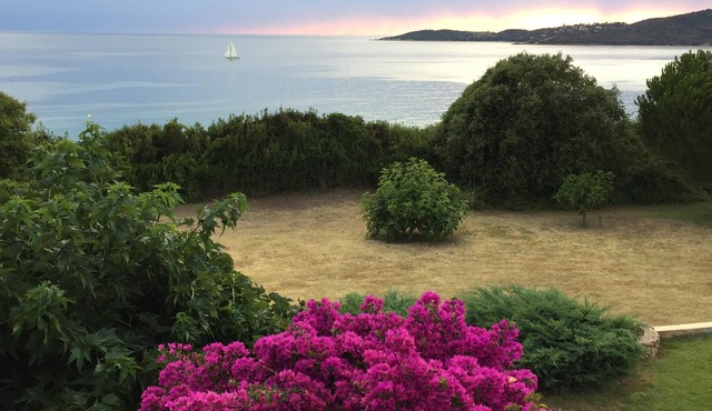 House/Villa - SAGONE