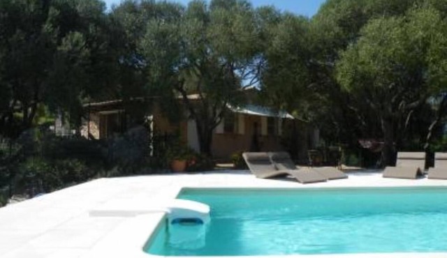 House/Villa - Tizzano