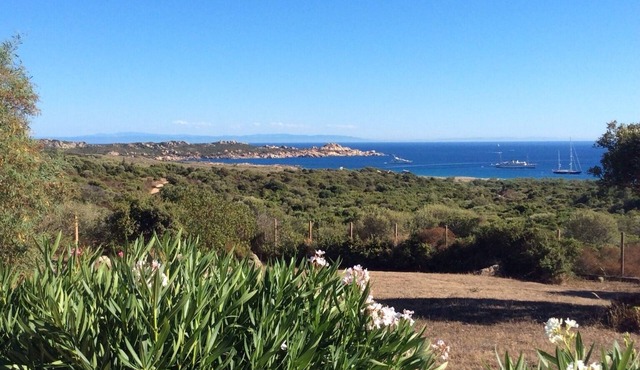 House/Villa - Tizzano