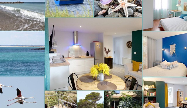House/Villa - Vic-la-Gardiole
