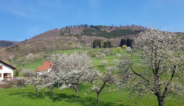 House Vosges à Breitenbach