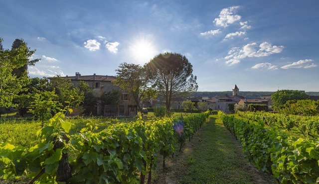 House with private terrace in mas ardéchois