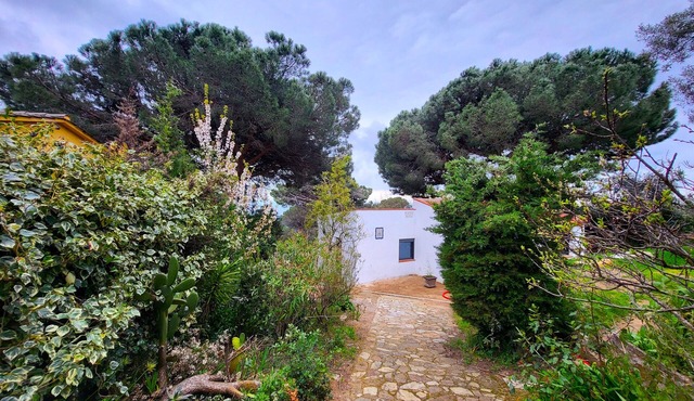 House with view in the heart of Parc du Montnegre