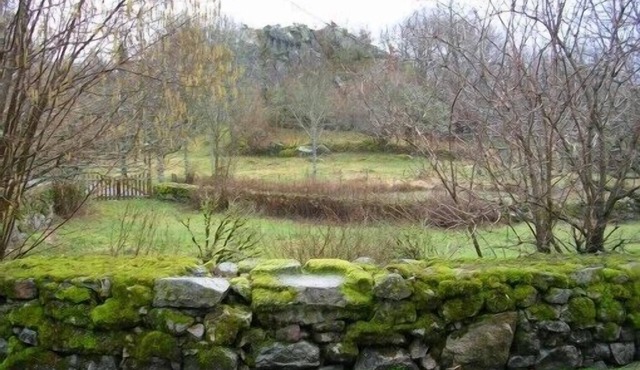 House with 2 kitchen areas