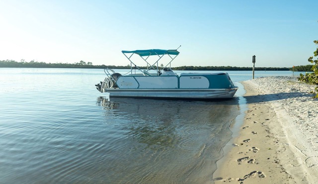 House With A Boat - Boat, Heated Pool, SUP Boards