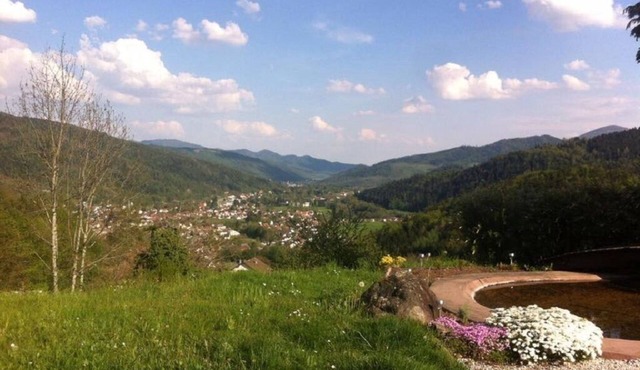 House with all comforts with a breathtaking view of the Vosges