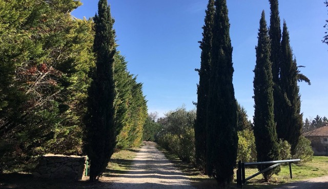 House with character in Provence