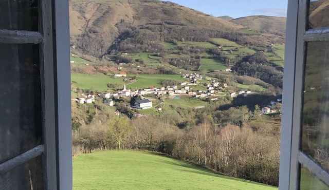 House with character