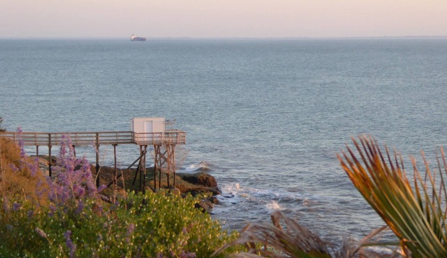 House with character