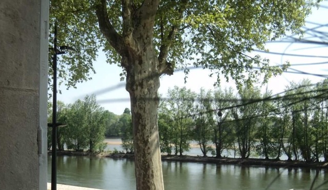 House with character overlooking the Loire with garden