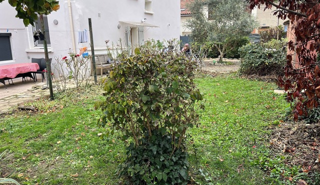 House with fenced garden, garage, very quiet town center.