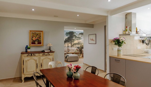 House with Terrace, in the heart of Châteauneuf-du-pape Village