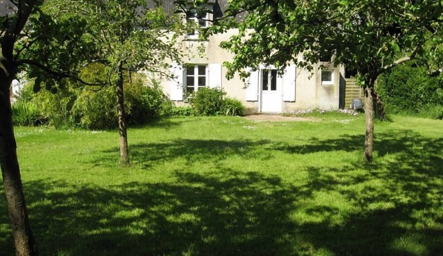 House with garden
