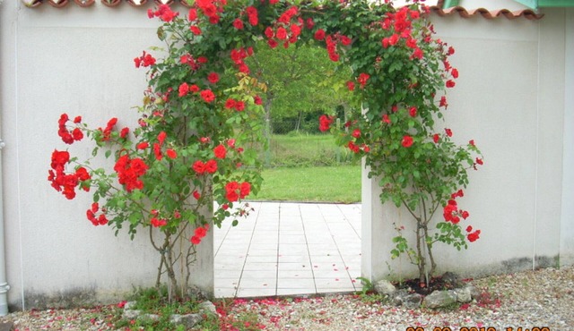 House with Terrace and Garden in St Méard de Drône, Pets Allowed
