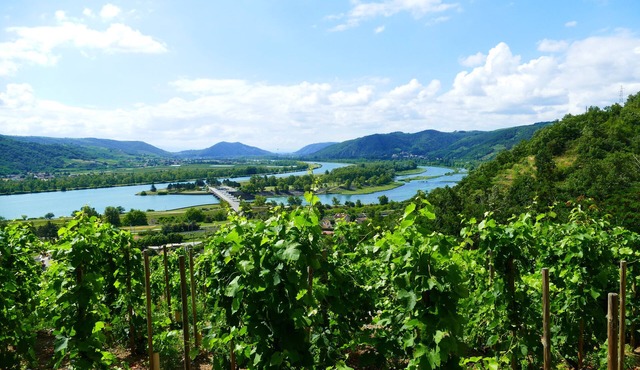 House with garden & view of the Rhône Valley – cycling & vineyards