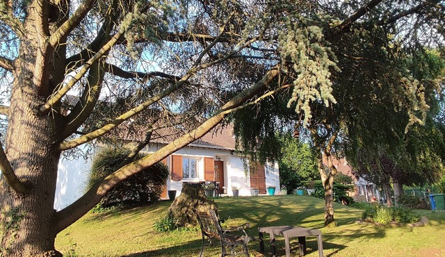 House with garden 1000m2