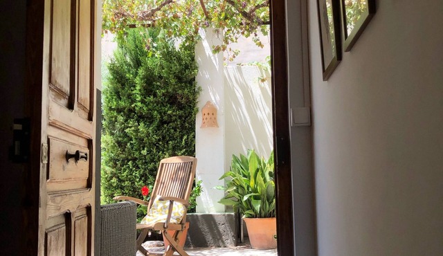 House with garden a stone's throw from the center of Valencia and the beach