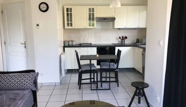 House with garden Groupama stadium/Airport