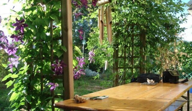 House with garden in a Zen environment