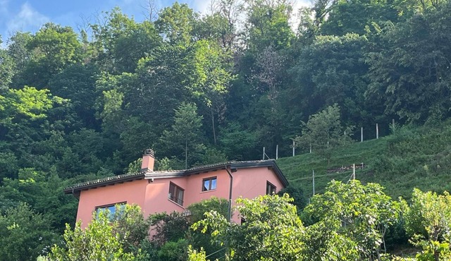 House with garden in the old town of Mendrisio for summer 2025