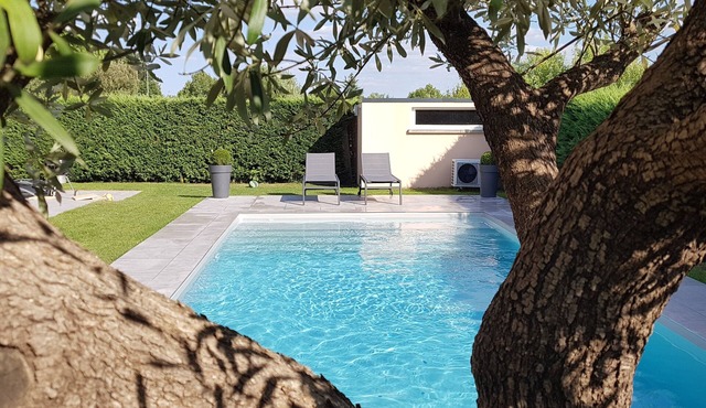 House with peaceful pool 15 min from Toulouse