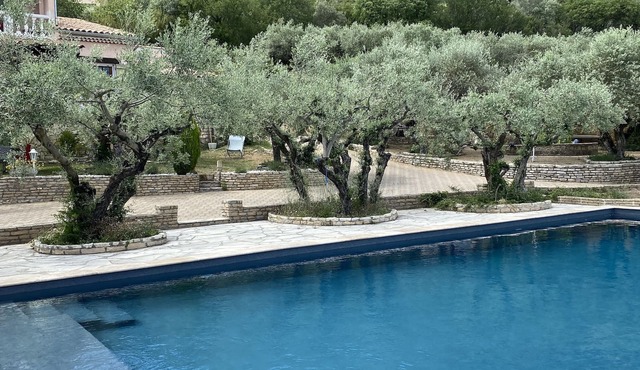 House with pool access, independent garden and terrace, fireplace. Luminous