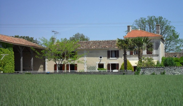 House with pool in the vineyards of Cognac