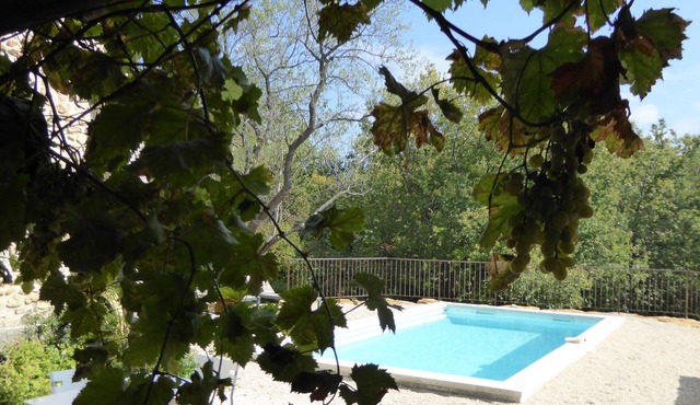 House with pool in the vineyards of the Drôme Provençale