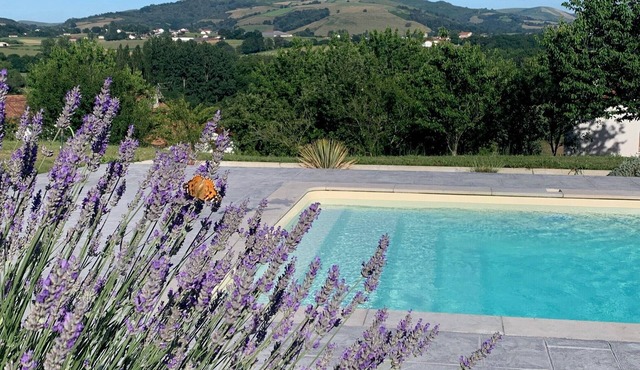 House with pool/spa and views of the Basque mountains