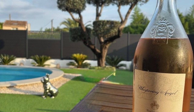 House with pool, sun and calm in Provence