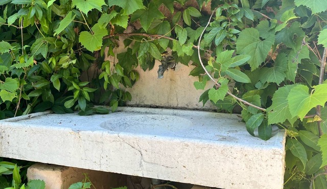 House with private garden & parking in a plant nursery