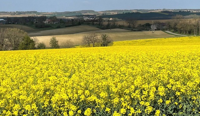 House with private pool and close proximity to shops