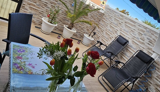 House with roof terrace