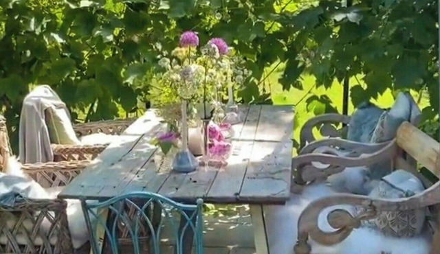House with rose garden and greenhouse in Gilleleje