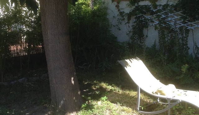 House with small garden and terrace