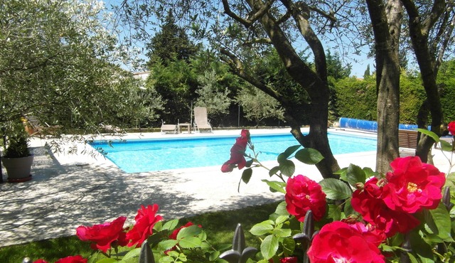 HOUSE WITH SWIMMING POOL GARDEN and organic vegetable garden VAUCLUSE