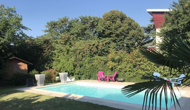 House with swimming pool in beautiful wooded garden