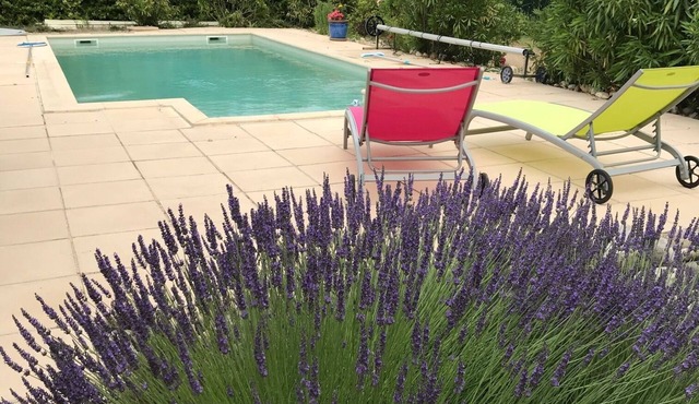 House with swimming pool in lavender fields near the Gorges du Verdon
