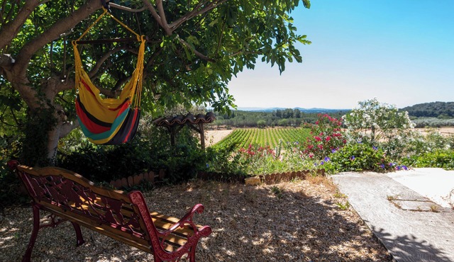 House with swimming pool and beautiful view
